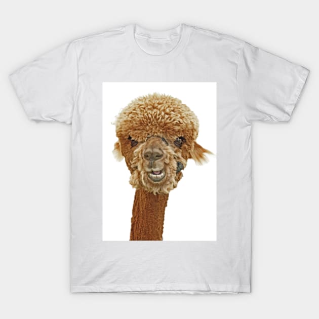 Cute Alpaca T-Shirt by Furtographic